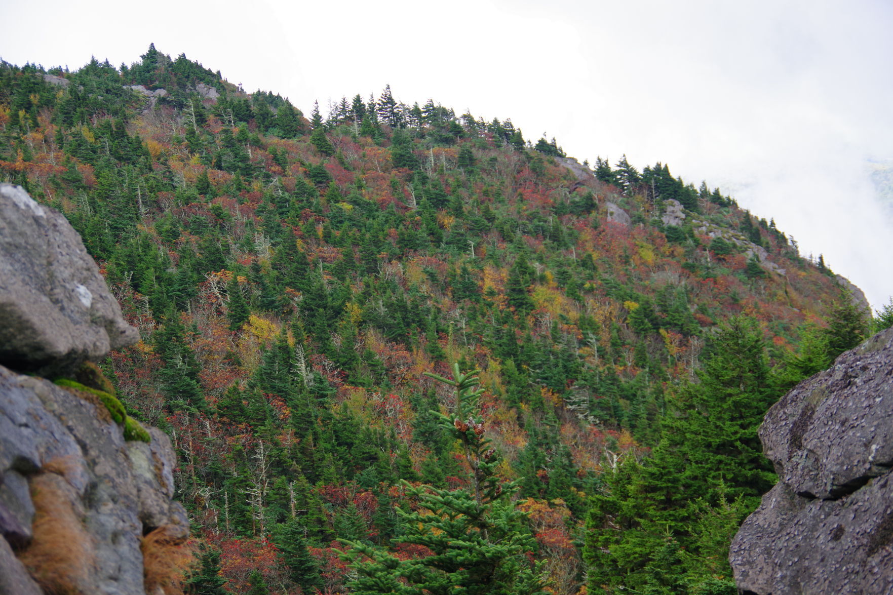 Fall Colors5